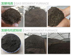 湖南小鸡粪有机肥哪家好？石家庄彦江肥业助力蔬菜种植更绿色