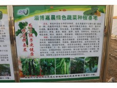 淄博蔬菜采摘园推荐 嘉晨绿色蔬菜种植基地，家庭采摘好去处
